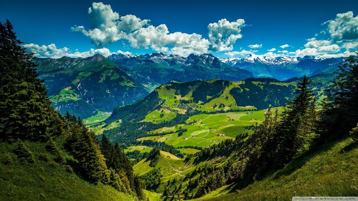 Nature
