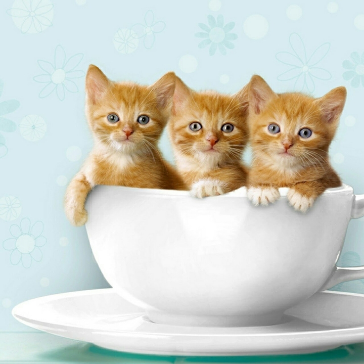 Good morning!