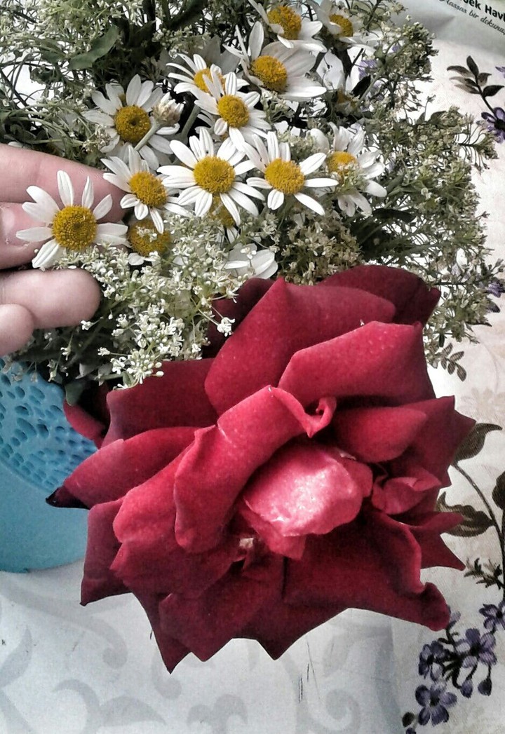 flowers