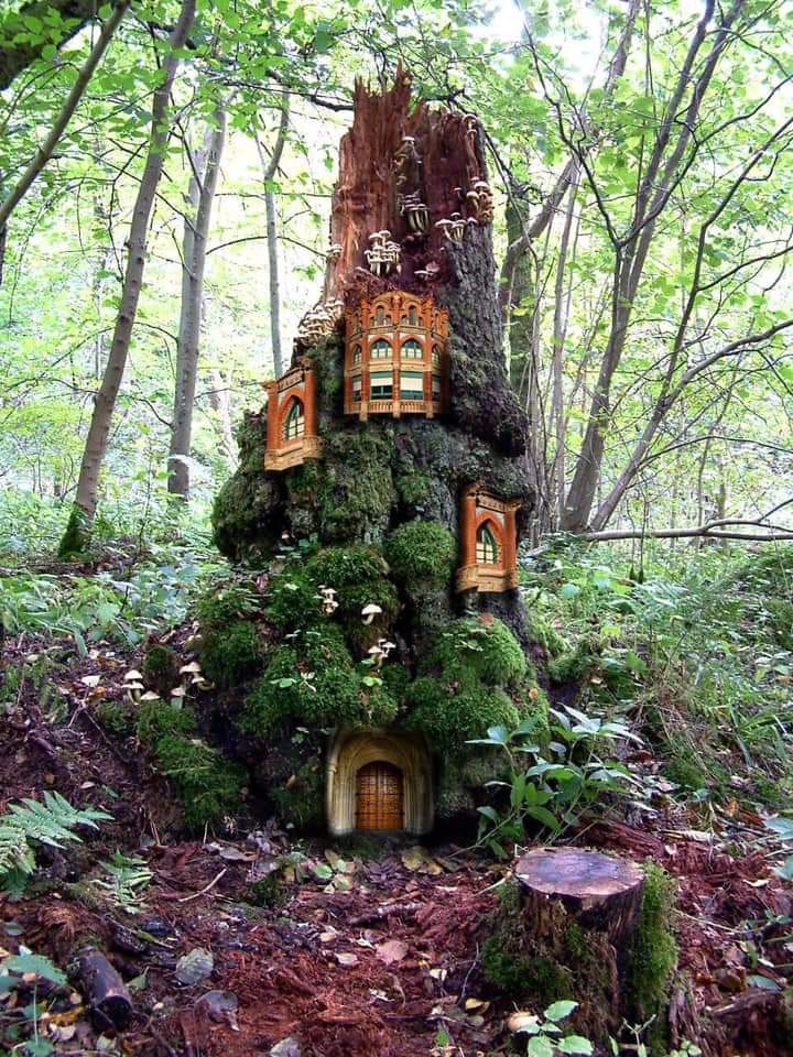 fantacy castle