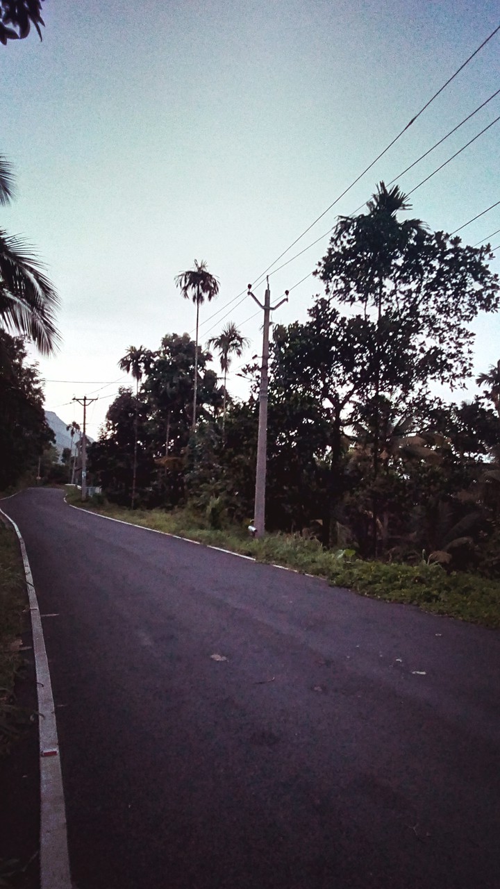 mrng walk..