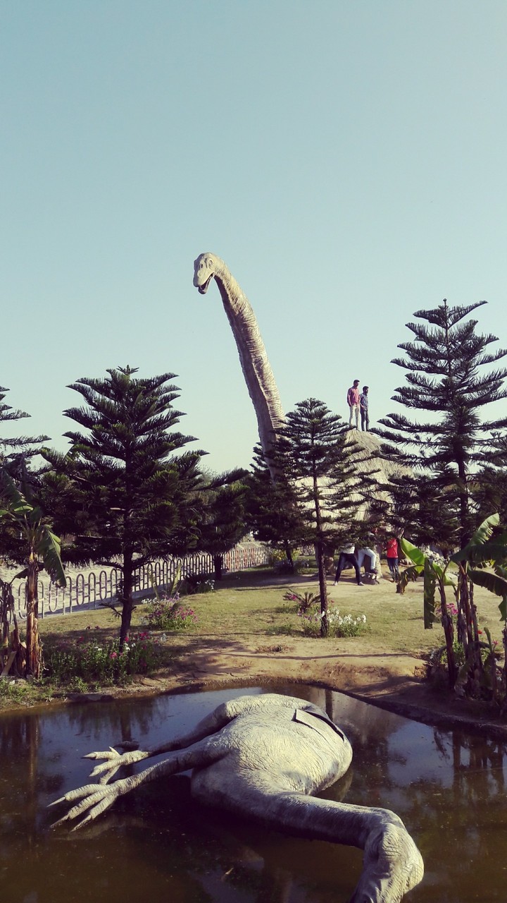 Dinosaur