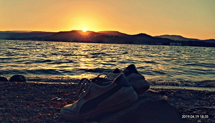 alone surviver