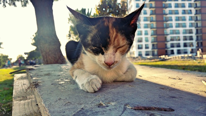 my photo