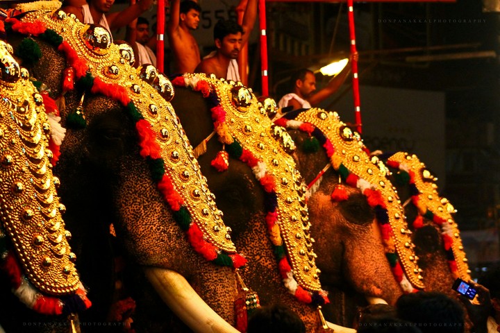 Thrissur pooram