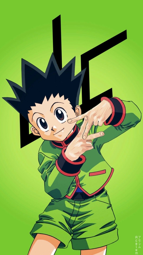 hunterXhunter