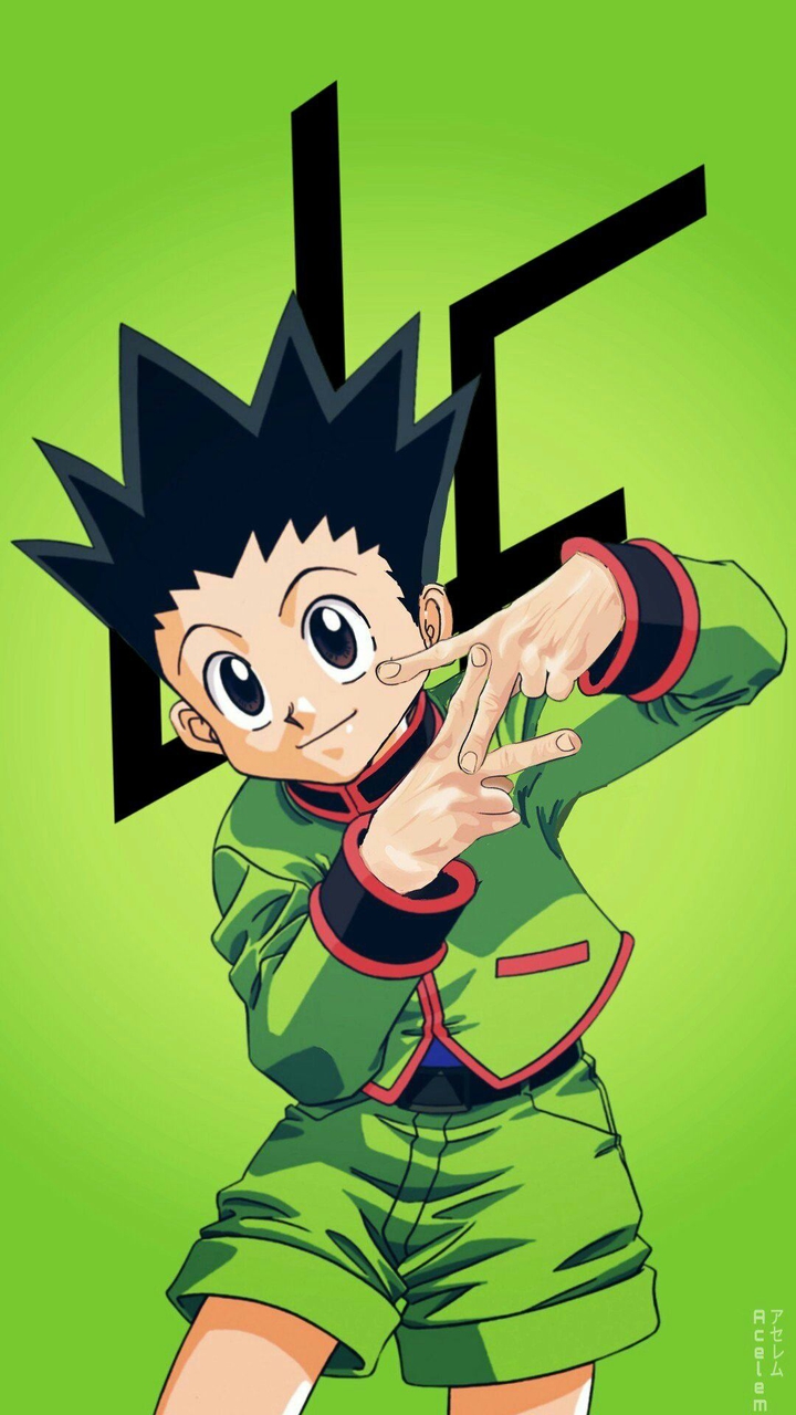 hunterXhunter