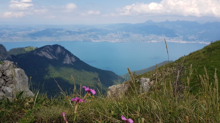 Lac Leman