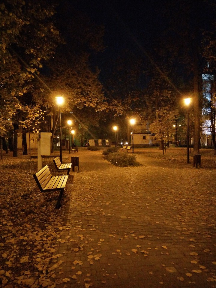 autumn