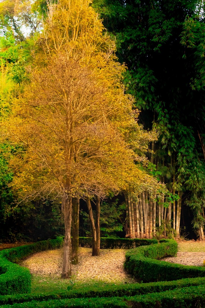 parque
