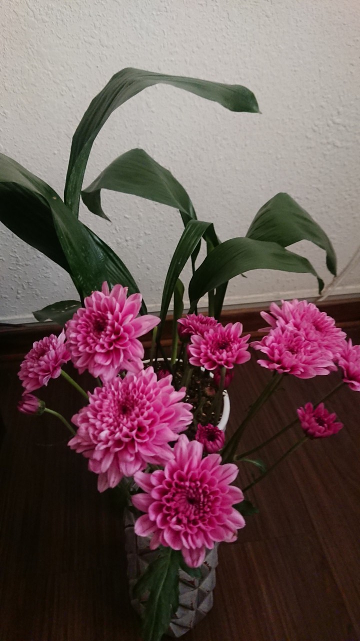 روز طبیعت