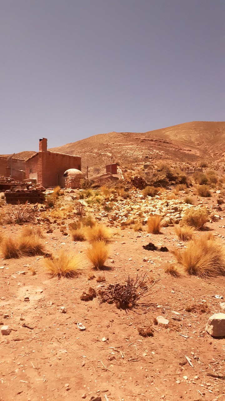 no hay desierto