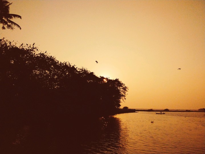 orange eve