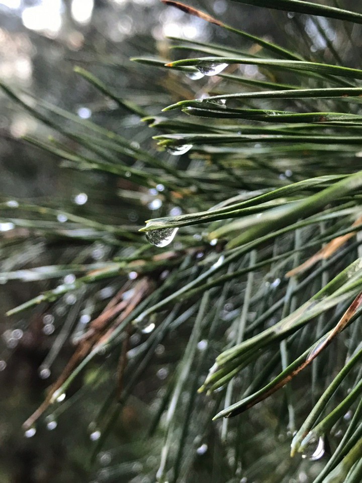 drop