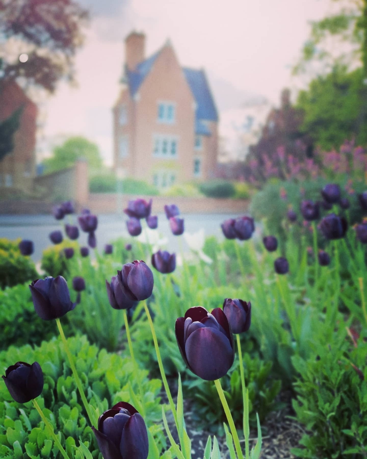 lady Margret hall