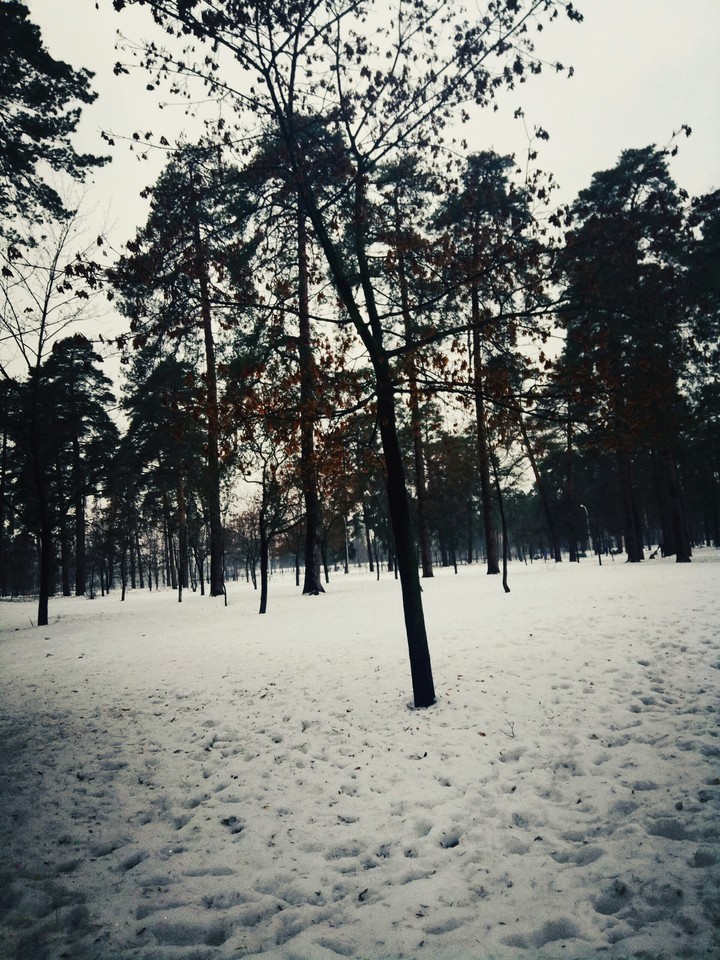 Park