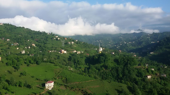 من عدستي