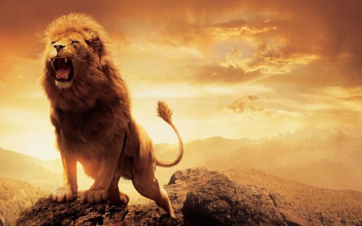 king lion