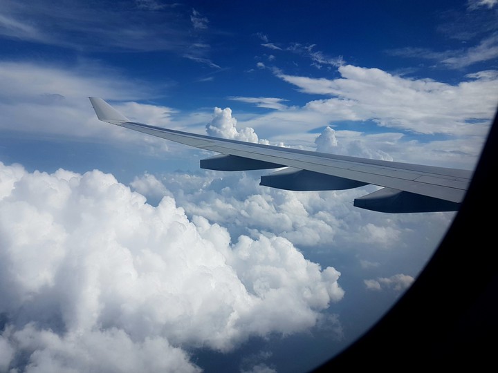 flight