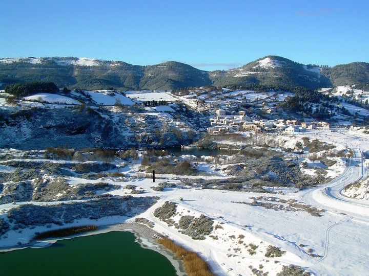 Arboleda