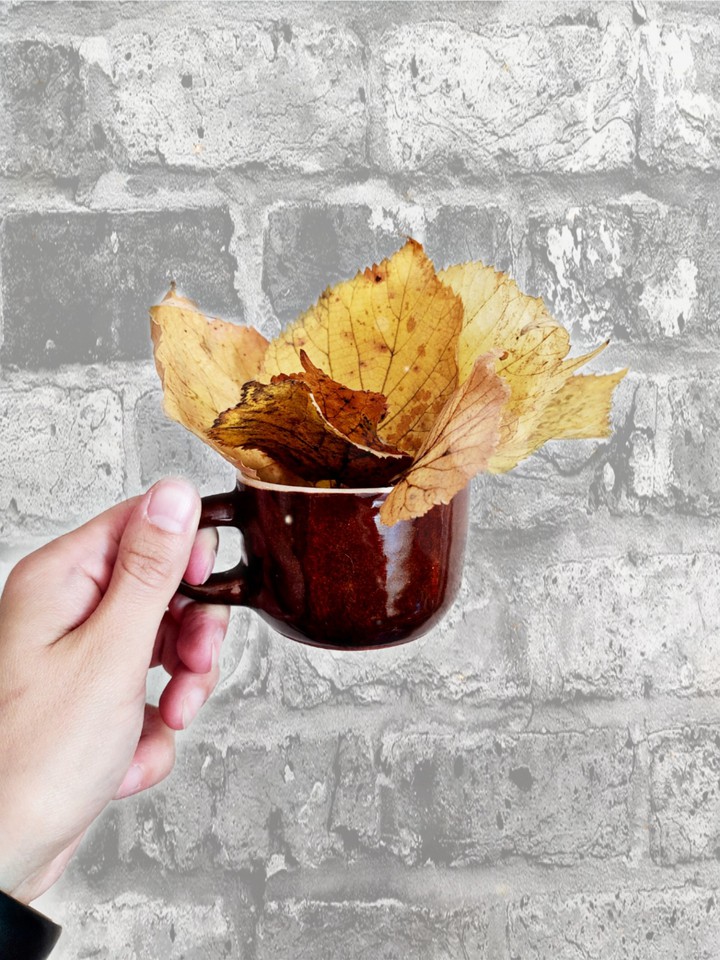 autumn coffee