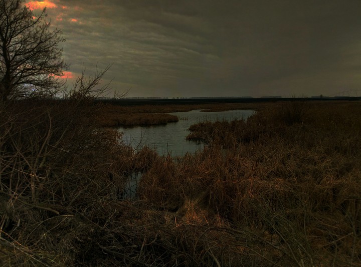 ukrainian nature