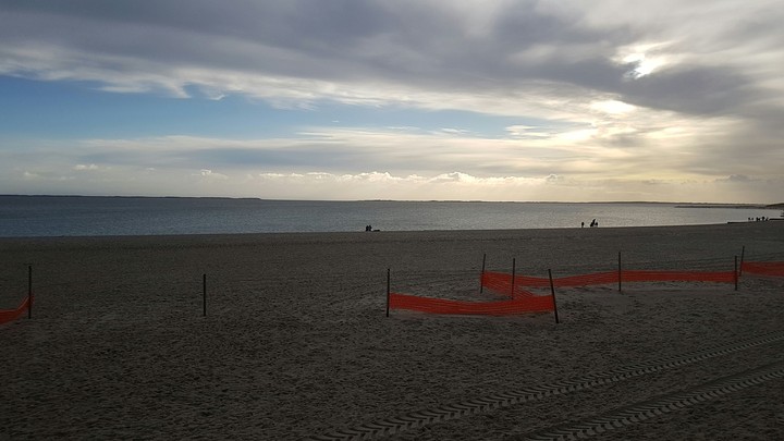 Sylt