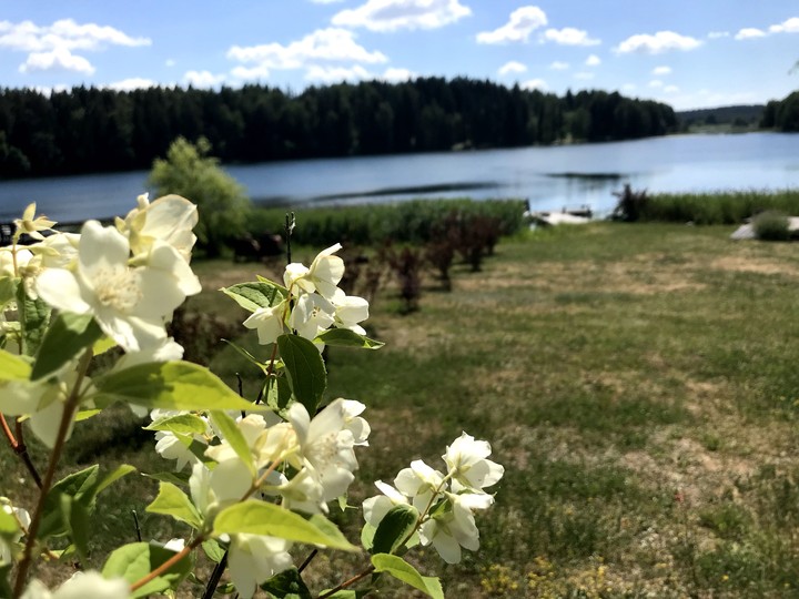 nature