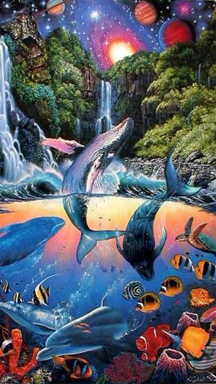 dolphins
