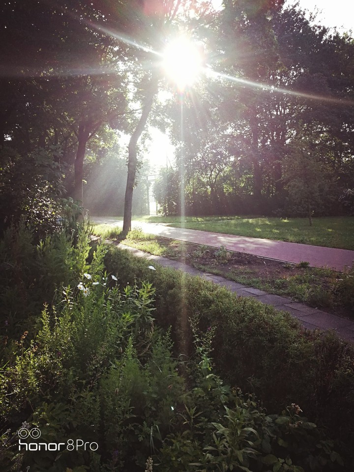 Sonnenaufgang