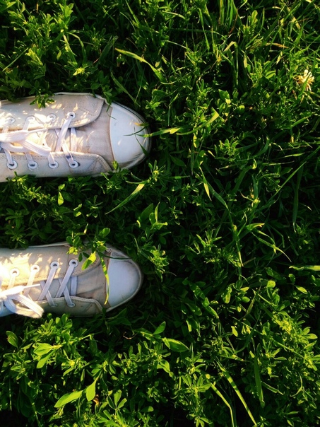 just sneakers in grass