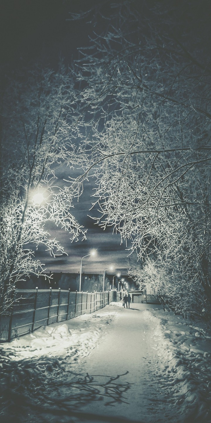 Evening