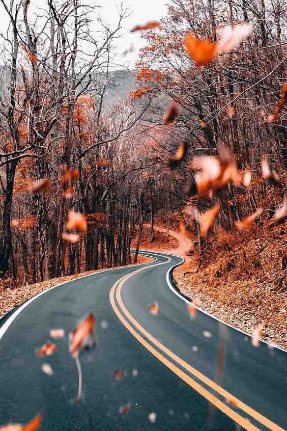 the road 2