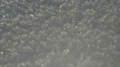 snowcarpet