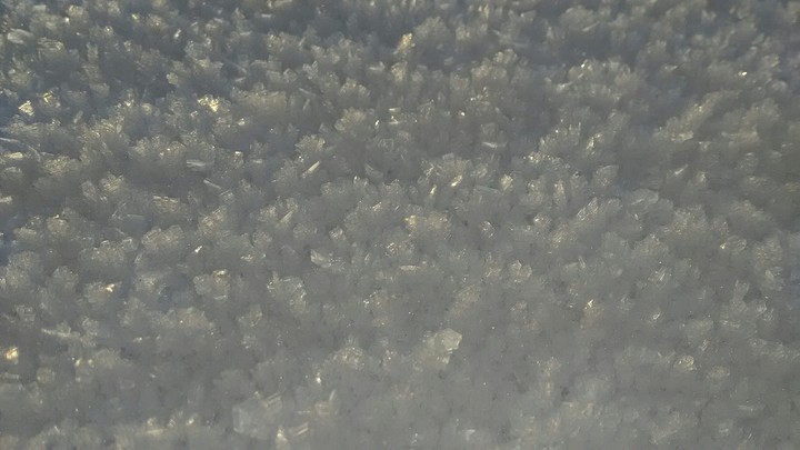 snowcarpet