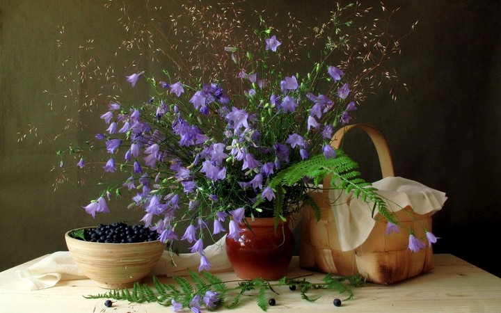 Summer composition ♡