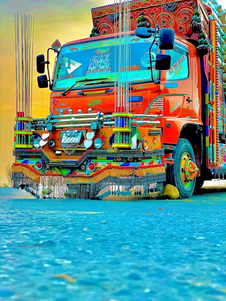 PAKISTANI TRUCK ART ??