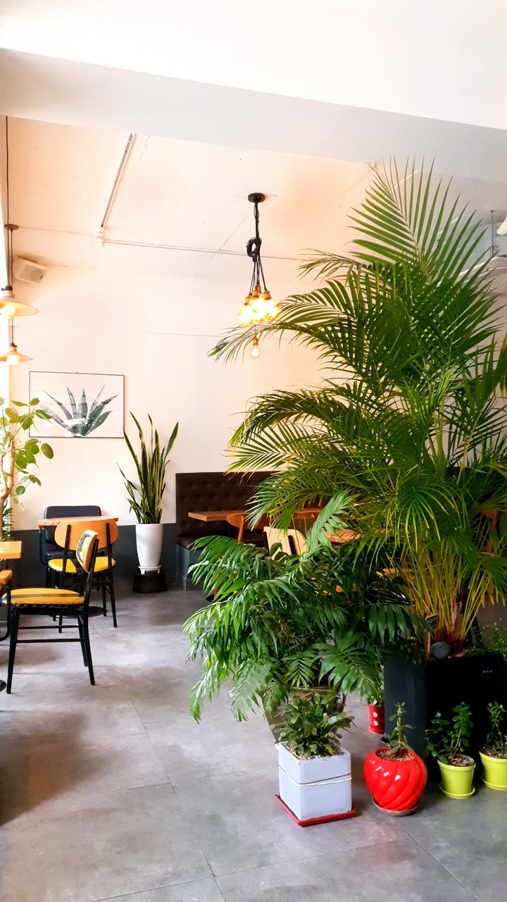 Secluded cafe 1