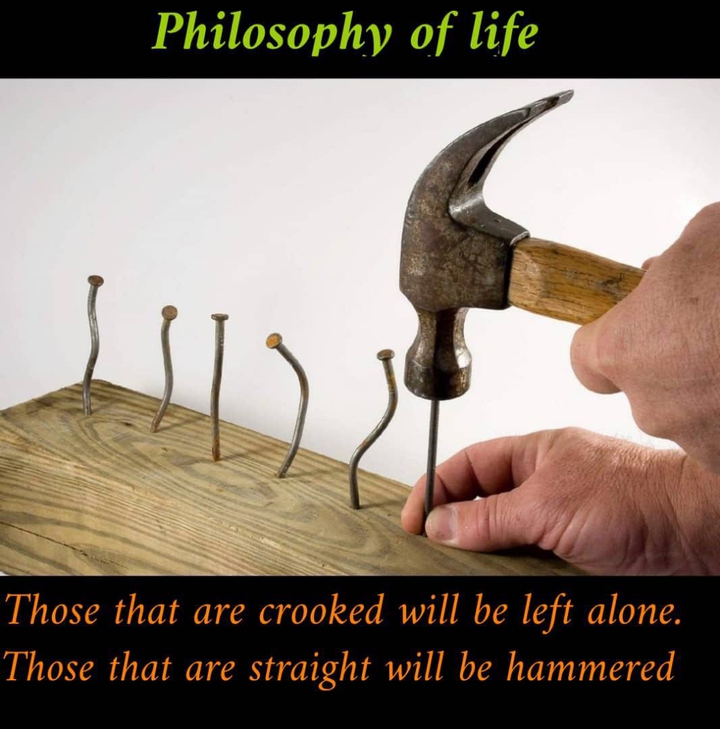 philosophy of life