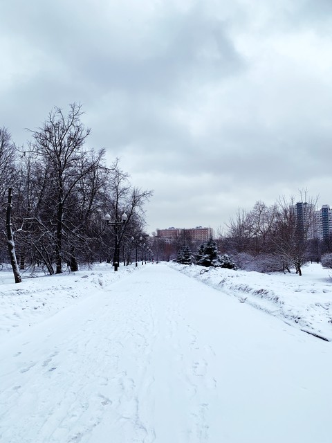 winter streets