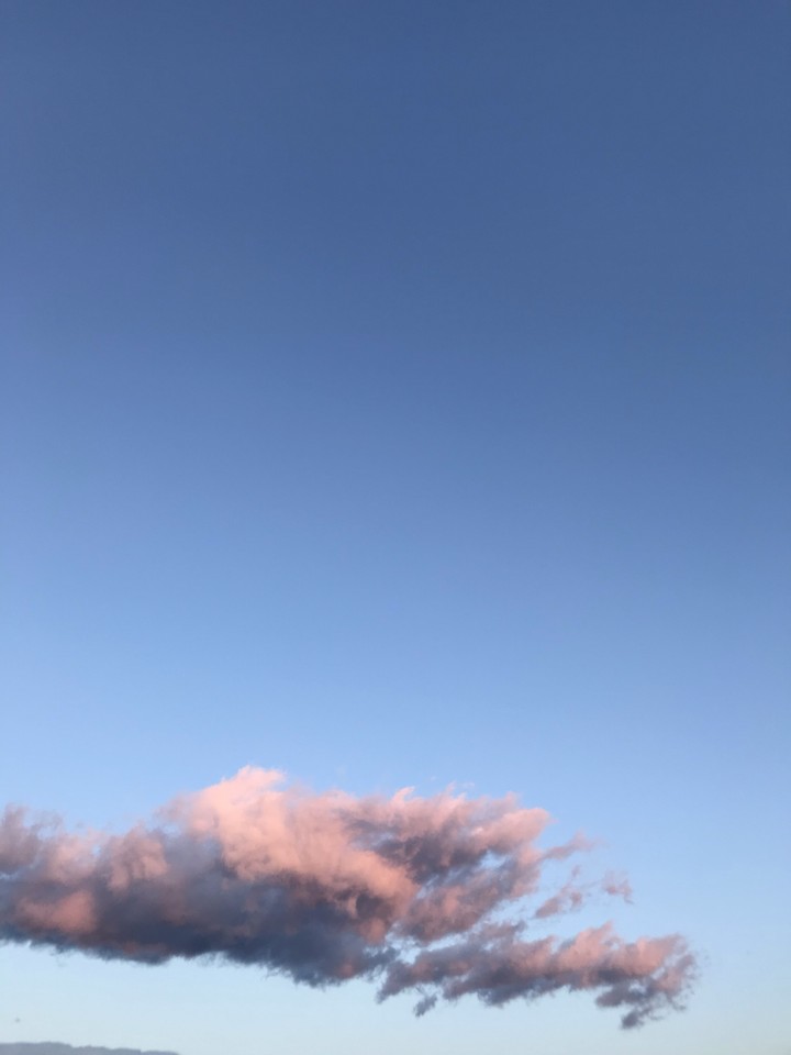 PİNK CLOUD