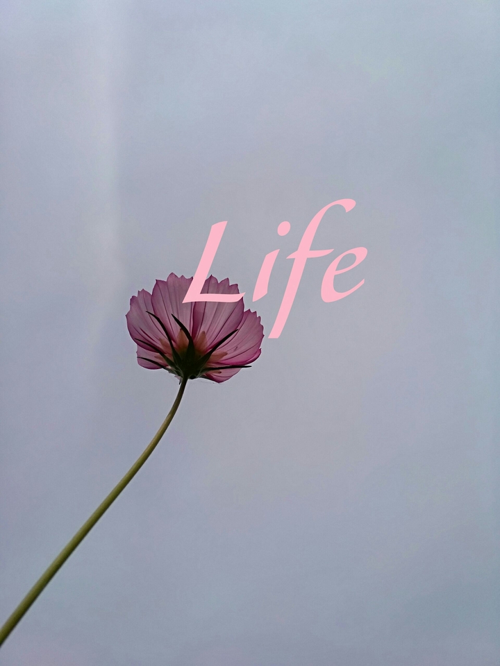 Life