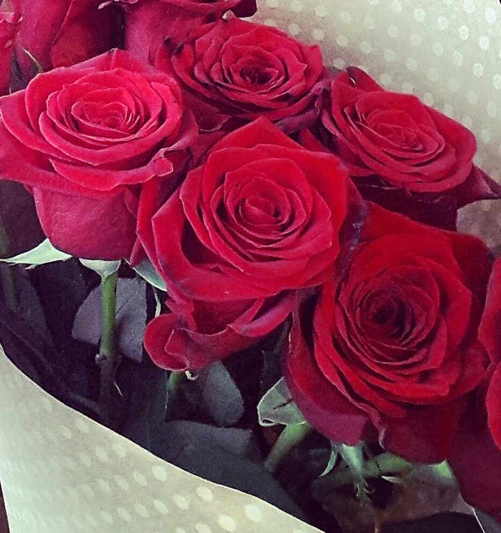 rose