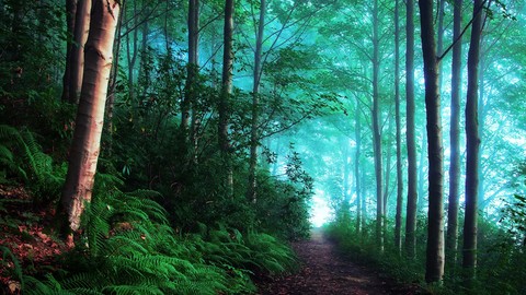 camino