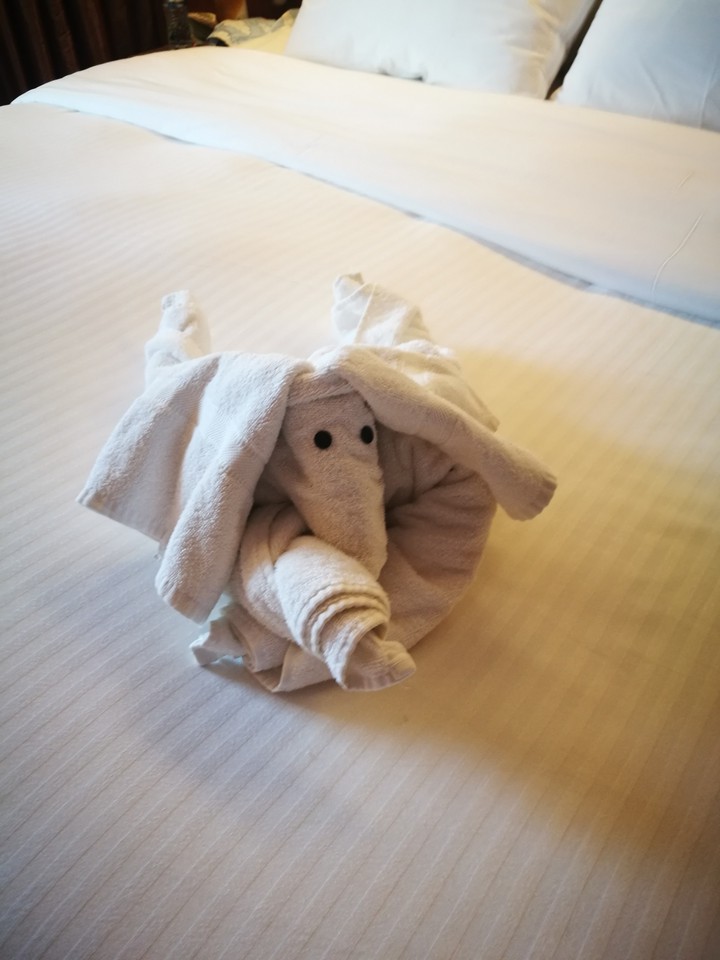 Towel animal