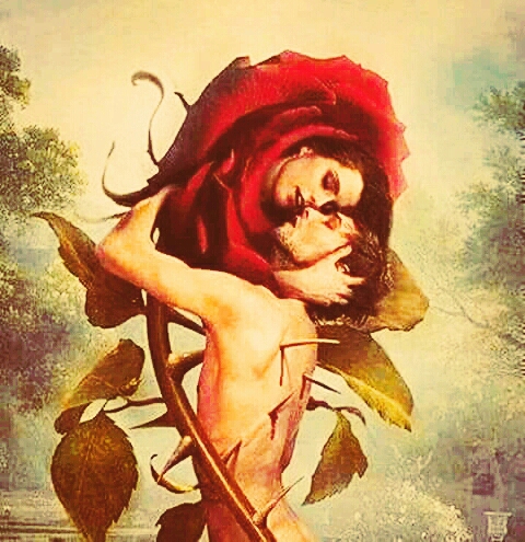 love with thorns