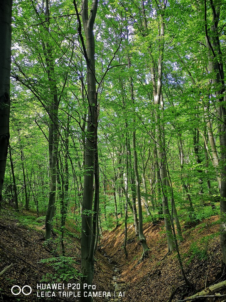 Samokov