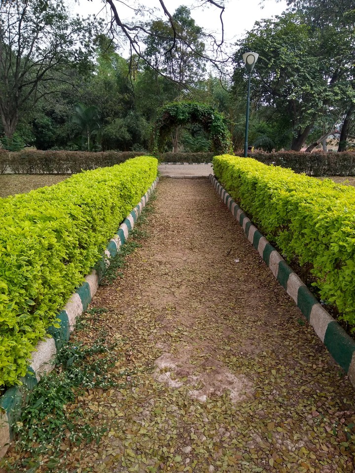 park