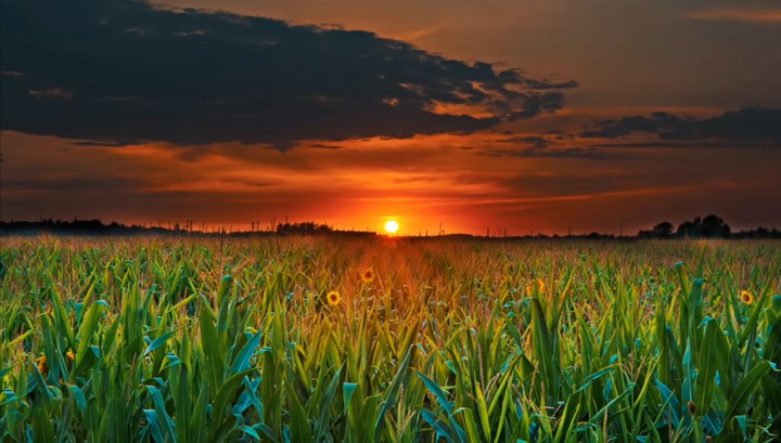 sun set