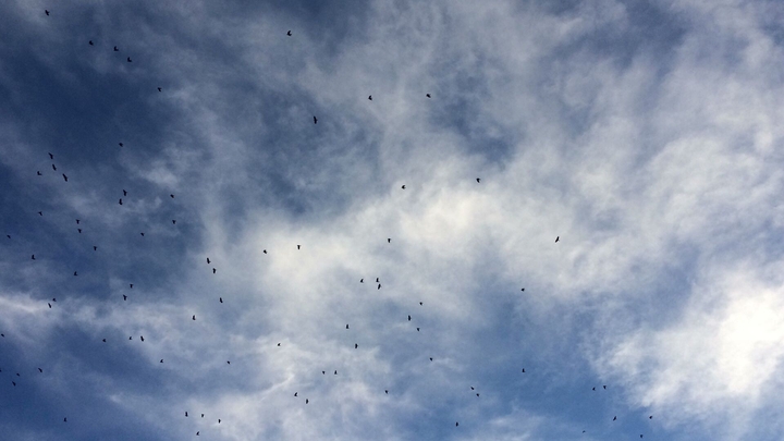 sky
